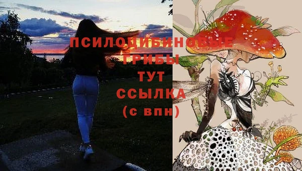 меф Каменногорск