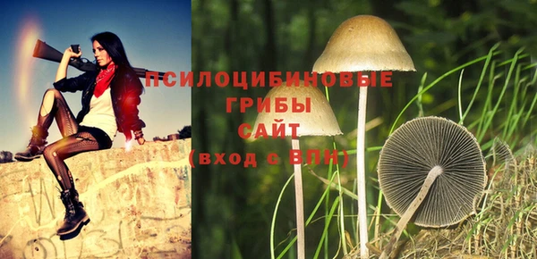меф Каменногорск